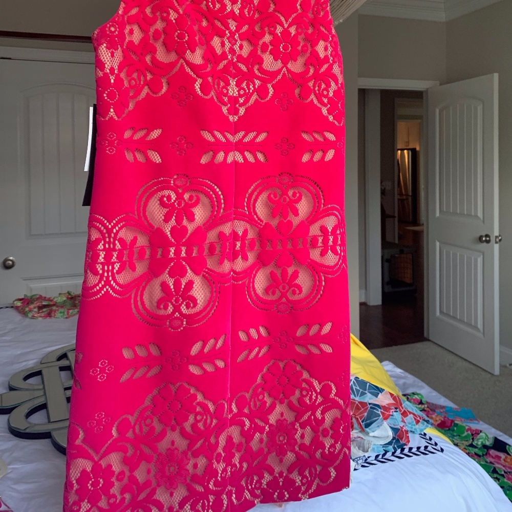 Nordstrom NWT~Cynthia Steffe~0~Sleeveless Dress - Picture 4 of 5